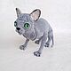 Вязаный кот Сфинкс. Амигуруми куклы и игрушки. Дарья (kirakinder). Интернет-магазин Ярмарка Мастеров.  Фото №2