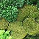 Round phytocart of different types of moss 70 cm. Fitokartins. Антонина Литовкина - Озеленение (Планета Флористики). My Livemaster. Фото №5
