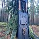 Заказать Тальхарпа ( Bass Tagelharpa). Sinelnikovsn. Ярмарка Мастеров. . Лиры Фото №3