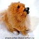 Toy felted. Dog Spitz Gear. Felted Toy. wool gifts. My Livemaster. Фото №4