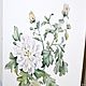Painting Watercolor 'White chrysanthemums'. Pictures. Svekla_art. Online shopping on My Livemaster.  Фото №2