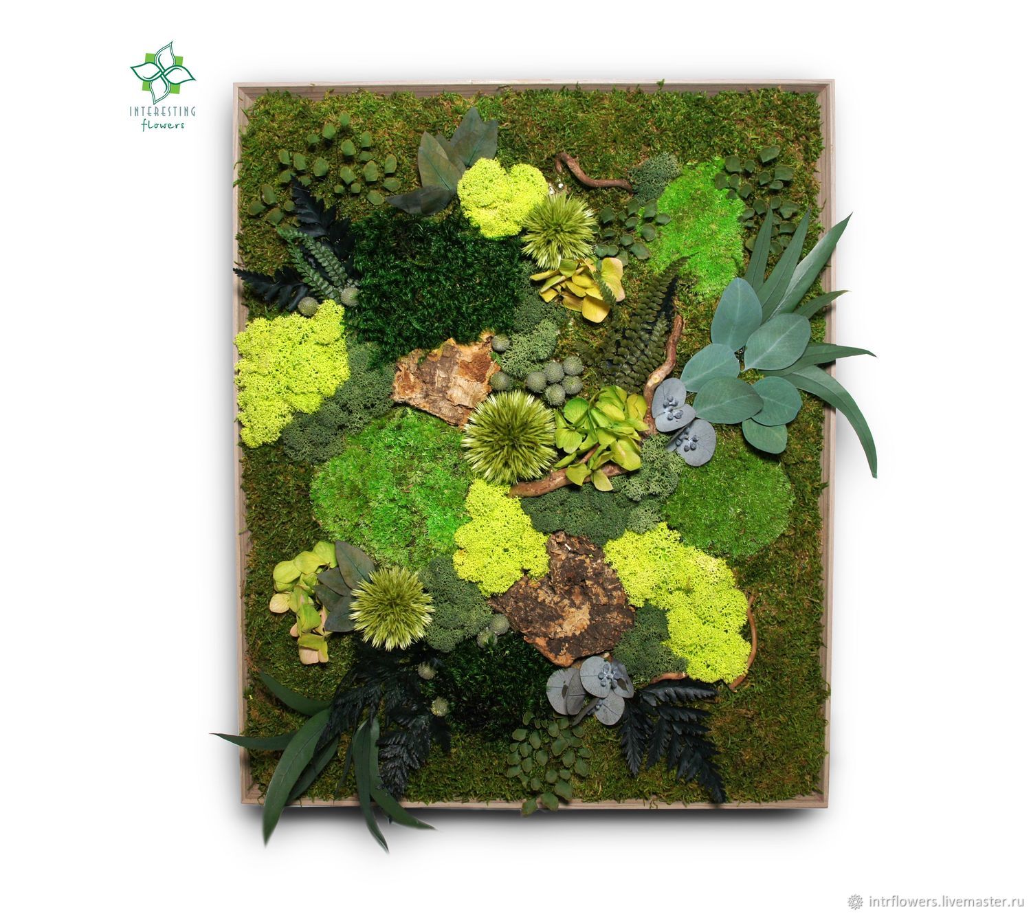Картина из стабилизированных цветов и растений.