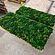 Панель из стабилизированного мха. Фитокартины. Green.Box. Ярмарка Мастеров.  Фото №5