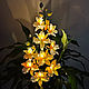 Веточка ночник орхидеи, Ночники, Сургут,  Фото №1