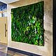 Фитостена из стабилизированного мха и растений. Фитокартины. Nature Walls|Вертикальное озеленение. Интернет-магазин Ярмарка Мастеров.  Фото №2