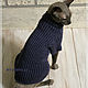 Clothing for cats and cats. Pet clothes. Natalya (stylishcat). Интернет-магазин Ярмарка Мастеров.  Фото №2