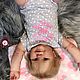 Реборн Мира. Куклы и пупсы. Солнечный Зайчик (reborndolls55). Интернет-магазин Ярмарка Мастеров.  Фото №2