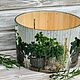 A large vase container for vegetables fruits Spicy herbs an array of lime trees, Storage Box, Moscow,  Фото №1