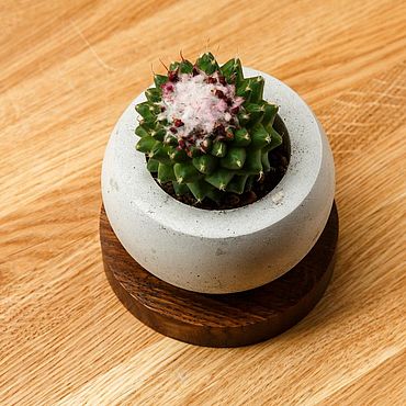 Цветы и флористика ручной работы. Ярмарка Мастеров - ручная работа Кашпо Сфера. Handmade.
