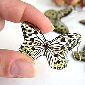 Украшения handmade. Livemaster - original item Transparent Leopard Butterfly Earrings Leopard Large Speckled. Handmade.