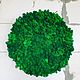 Round phytocartin made of stabilized moss 50 cm. Fitokartins. Антонина Литовкина - Озеленение (Планета Флористики). Online shopping on My Livemaster.  Фото №2