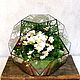 Флорариум орхидариум в шаре L, Флорариумы, Санкт-Петербург,  Фото №1