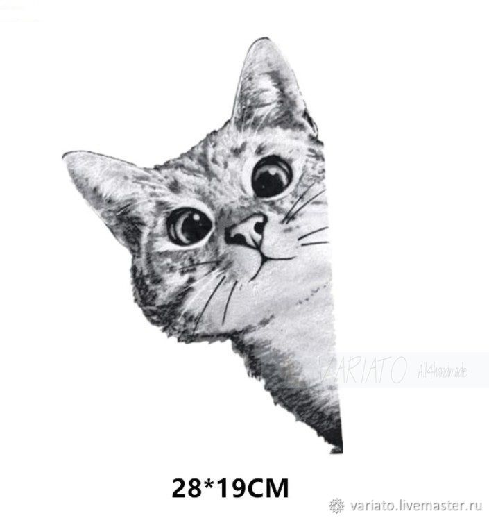 Термонаклейка крупная Смешной кот 28 см, Термотрансферы, Липецк,  Фото №1