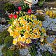 Нарциссы real touch. Цветы. Flowers16kzn-. Ярмарка Мастеров.  Фото №4