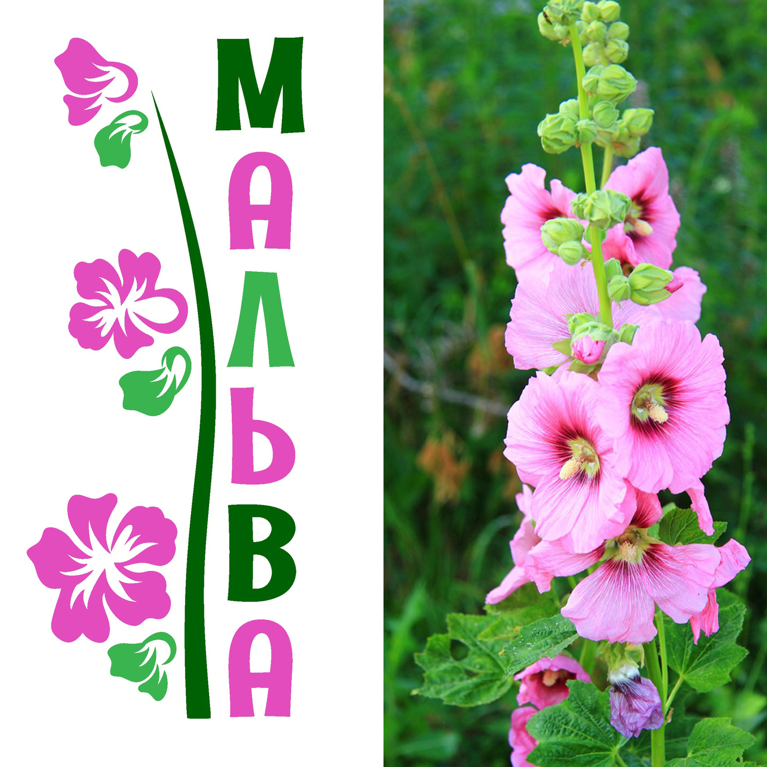 Делаем #логотип для Вашего магазина