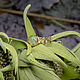 Order Gold ring with opal 'Tenere'. Unusual Gemstone Jewelry. Livemaster. . Rings Фото №3