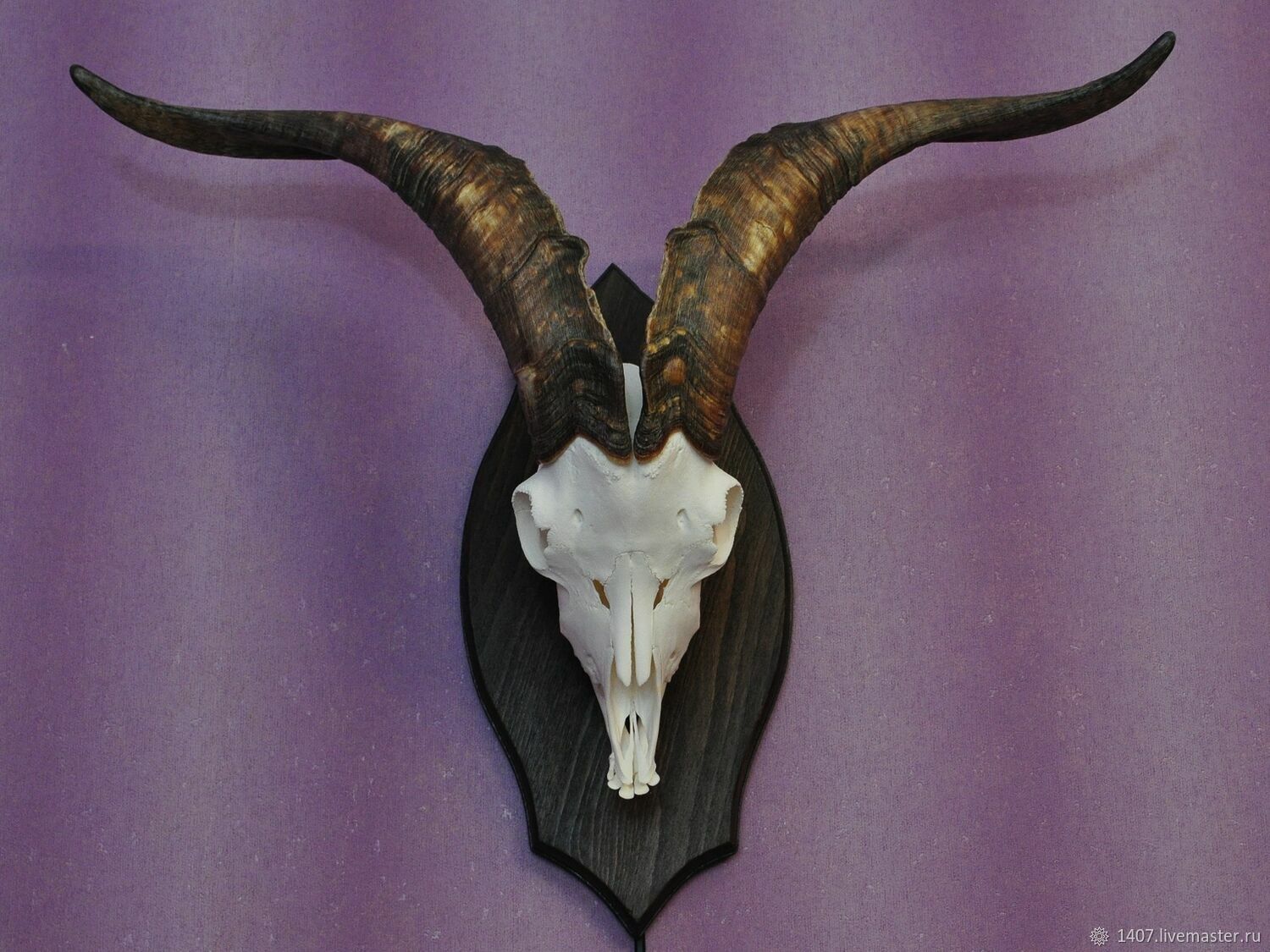 Goat skull terraria фото 104