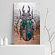Интерьерная картина "Beetle", Картины, Краснодар,  Фото №1