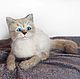The Neva masquerade cat. Interior toy is made of wool. Felted Toy. Natalya Gorshkova Cute toys felting. Online shopping on My Livemaster.  Фото №2
