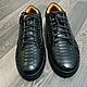 Python leather sneakers in classic black, Training shoes, Tosno,  Фото №1