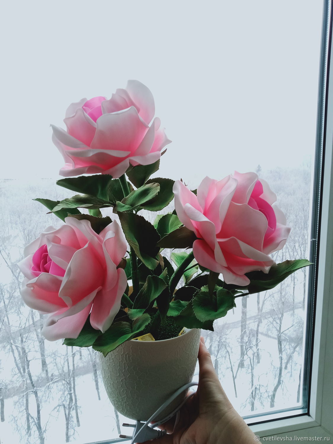 Розовый куст светящийся, Цветы, Нижний Новгород,  Фото №1