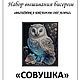 Kits for embroidery with beads: Sovushka. Embroidery kits. Beaded embroidery from Laura. Online shopping on My Livemaster.  Фото №2