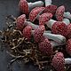 Заказать  Красочные мухоморы. Fairy tale. Ярмарка Мастеров. . Елочные игрушки Фото №3