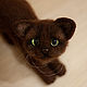 Валяная игрушка котенок Коржик. Войлочная игрушка. Кристина Антропова. Интернет-магазин Ярмарка Мастеров.  Фото №2