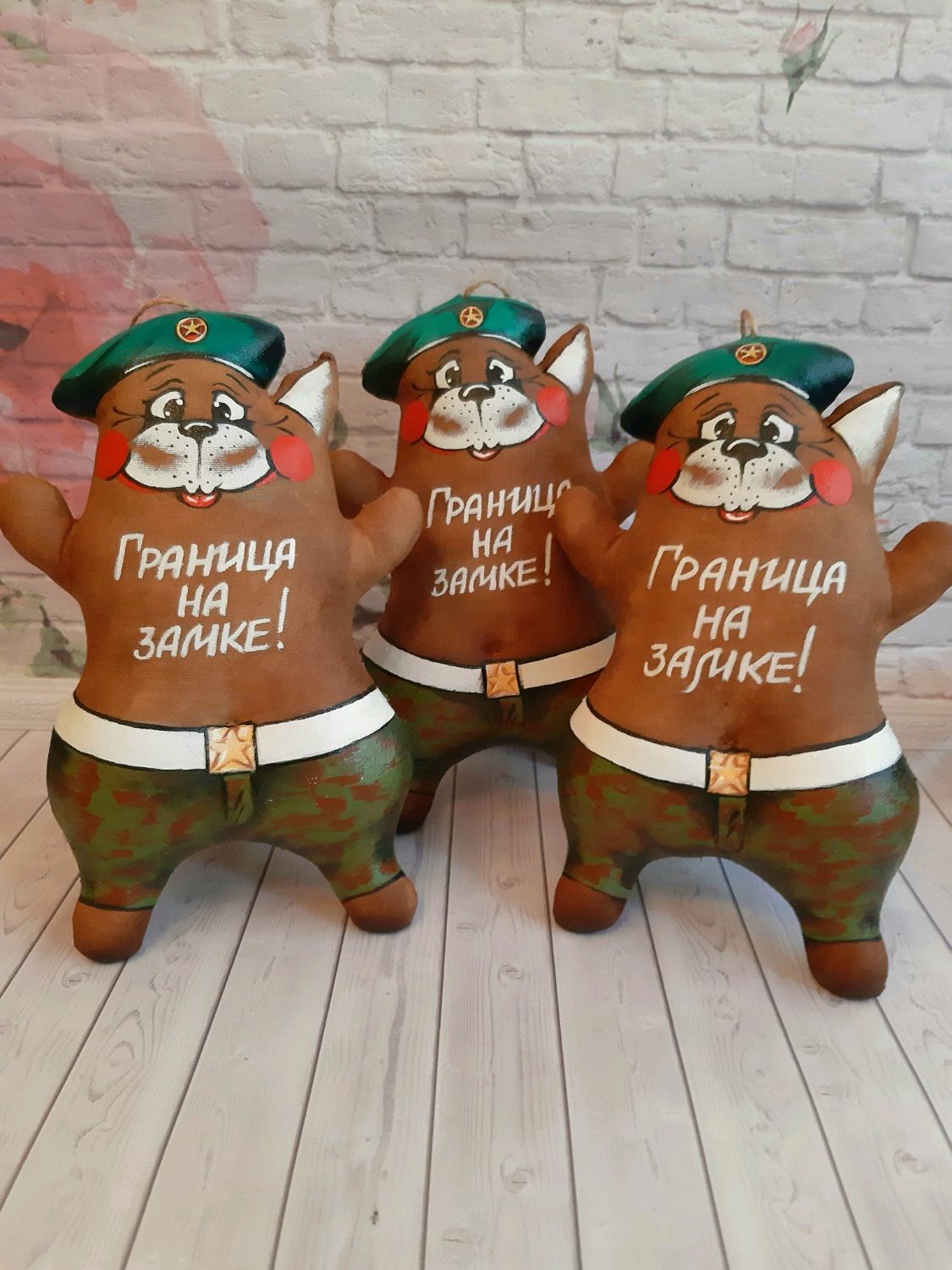 Кот пограничник