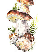 Картины и панно handmade. Livemaster - original item Pictures: Botanical watercolor painting Mushrooms. Handmade.