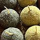Заказать Свечи « Яблочко». Целительный дом. Ярмарка Мастеров. . Ритуальная свеча Фото №3