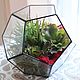 The Floriana with artificial succulents. The dodecahedron with succulents. Plants. Glass Flowers. Online shopping on My Livemaster.  Фото №2