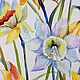 Watercolor Daffodils - spring Gift painting flowers. Pictures. Multicolor Gallery. My Livemaster. Фото №5