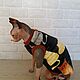 Одежда для кошек "Шубка коты", Одежда для питомцев, Бийск,  Фото №1
