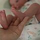 Заказать Кукла реборн Felicia. Солнечный Зайчик (reborndolls55). Ярмарка Мастеров. . Куклы Reborn Фото №3
