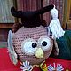 Учёная сова. Сова.Подарок. Подарок учителю. Вязаная игрушка. Амигуруми куклы и игрушки. Ксюша (241973). Интернет-магазин Ярмарка Мастеров.  Фото №2