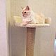 Scratching post with bed Flower - suitable for large cats. buy, Scratching Post, Ekaterinburg,  Фото №1