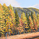 Осенняя гладь горной реки-Чуя. Картины. Сафронова Наталья (Painting-Altai). Ярмарка Мастеров.  Фото №5