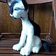  Авторский котик Ярик. Войлочная игрушка. Lindvera. Ярмарка Мастеров.  Фото №6