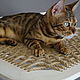 Hammock woven 'cat's dream'. Pet Hammock. VIMBESK. Online shopping on My Livemaster.  Фото №2