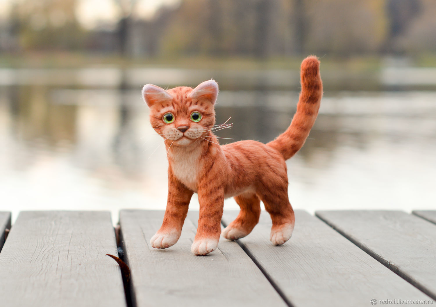 Карниз рыжий кот Карниз рыжий кот