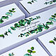 'Eucalyptus' gift packaging. Bonbonniere. Evrica (Evrica). Online shopping on My Livemaster.  Фото №2