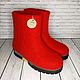 Red men's felt boots on the sole - size 44, Felt boots, Ramenskoye,  Фото №1