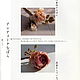 "Лица цветов, лица трав", Yamagami Rui. Книги. ARTA PUBLISHING. Интернет-магазин Ярмарка Мастеров.  Фото №2