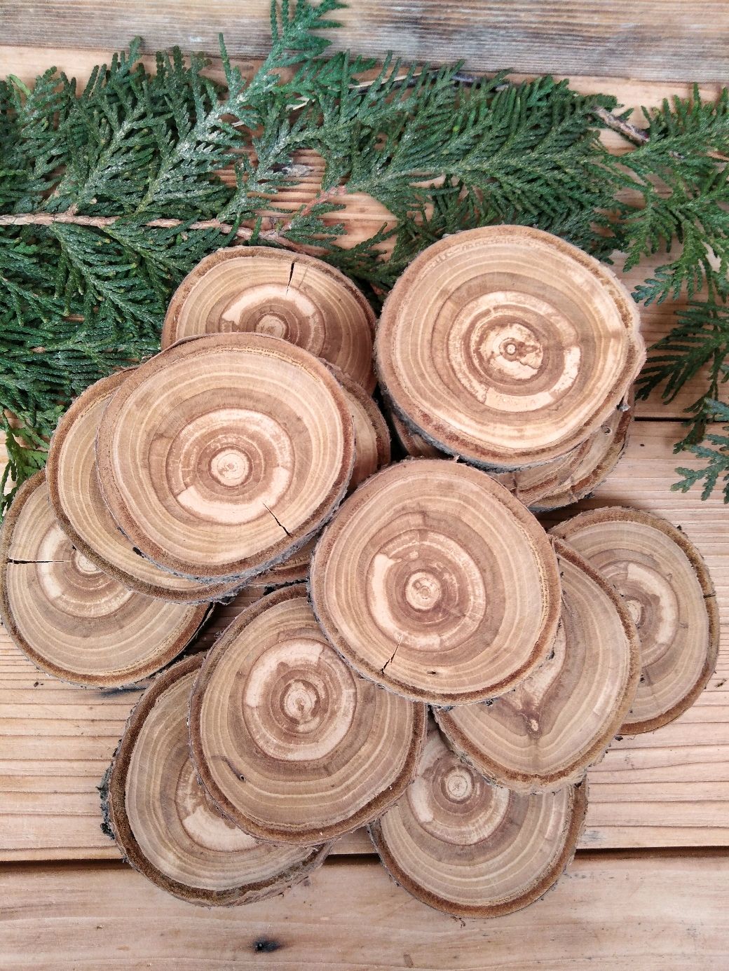 Тис ягодный древесина спил. Торцевой спил вишни. Спил вишни. Венге дерево срез. Спил яблони.