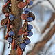 Bracelet 'Blueberry' (thermoplastic). Bead bracelet. JulkichHandmadeJewelry (julkich). Online shopping on My Livemaster.  Фото №2