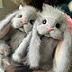 Зайки брелки из натурального меха норки. Тедди Зверята. Polyshop. Ярмарка Мастеров.  Фото №6