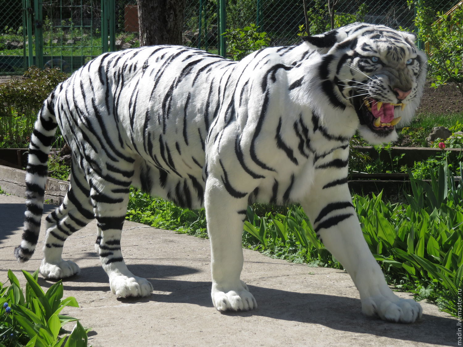 Мягкая игрушка Тигр реалистичный 90 см.