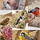 Набор открыток «Птицы»