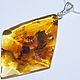 Rare amber pendant with inclusions (3 insects), Pendant, Belokuriha,  Фото №1